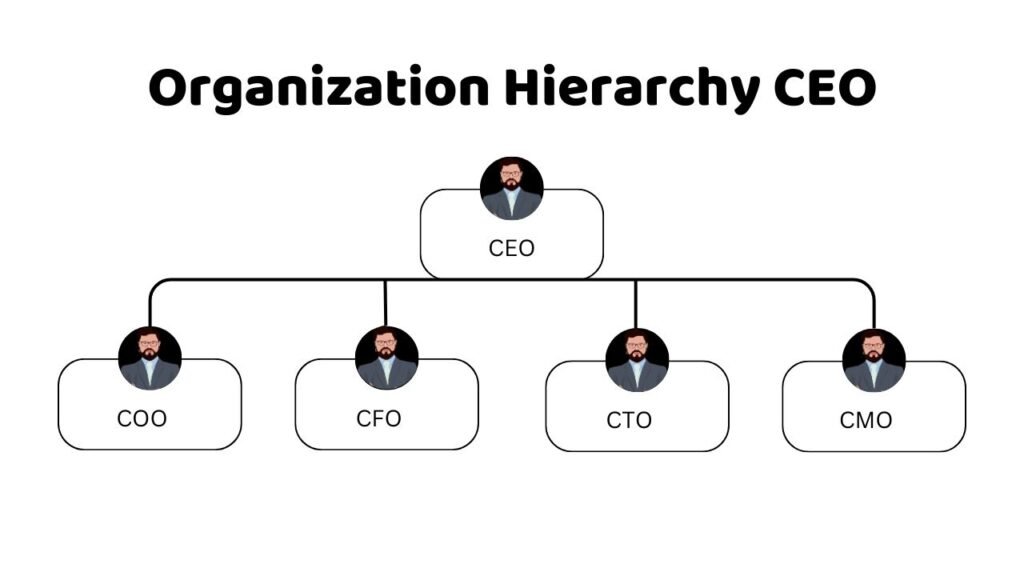 Organization Hierarchy CEO
CEO
COO, CFO, CTO, CMO