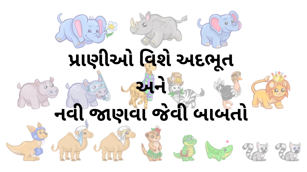 Animal Fact in Gujarati