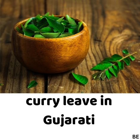 Curry leaves in Gujarati | Meaning of curry leaves in Gujarati | મીઠા ...