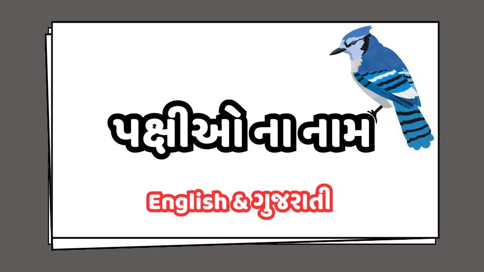 પક્ષીઓના નામ | bird Name in Gujarati and English