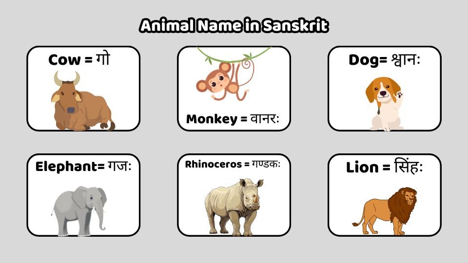 Animal Name in Sanskrit