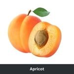 Apricot