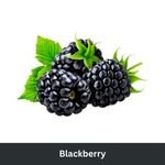 Blackberry