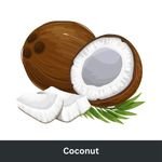 Coconut