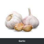 Garlic