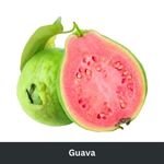 Guava