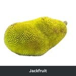 Jackfruit