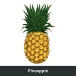 Pineapple