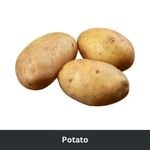 Potato