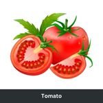 Tomato