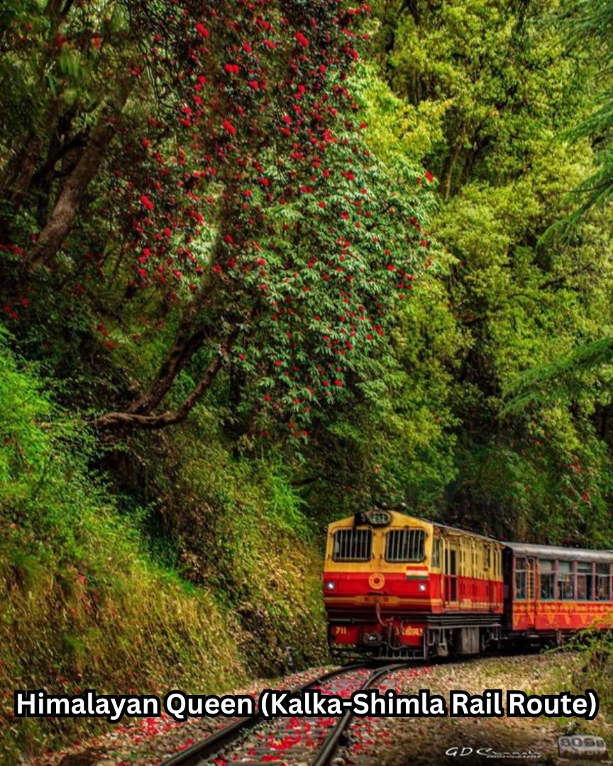 Himalayan Queen (Kalka-Shimla Rail Route)