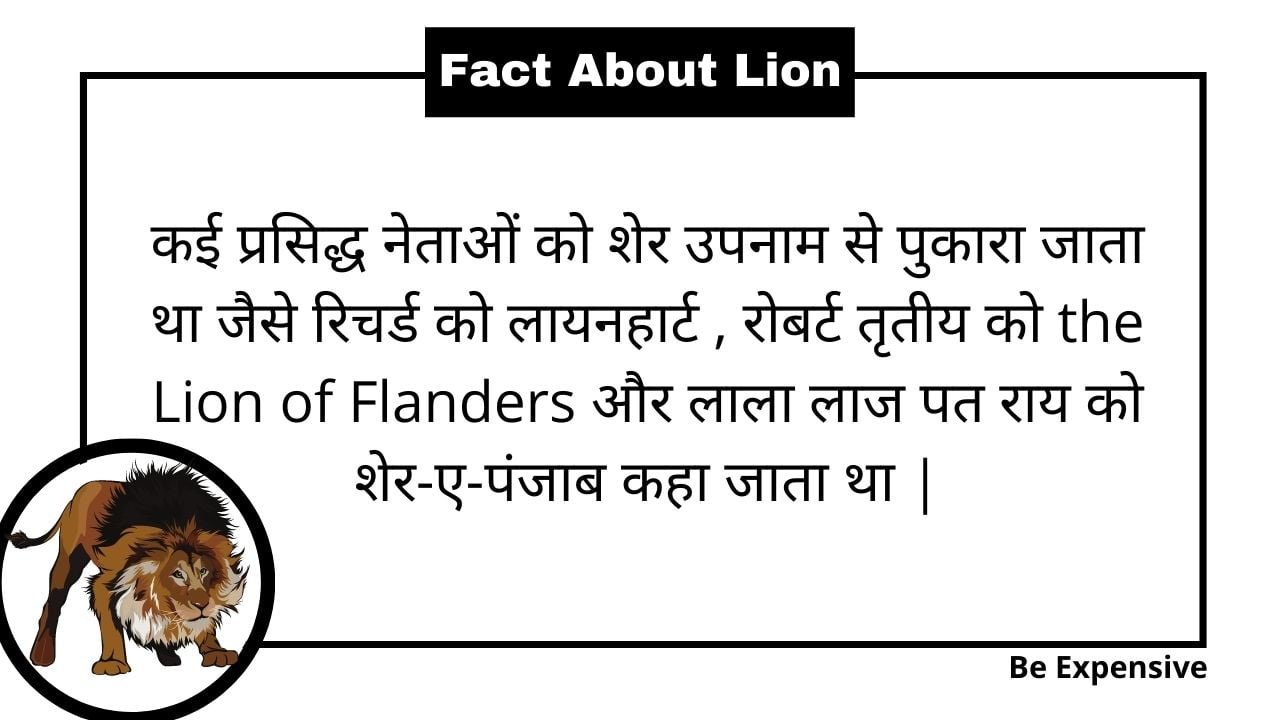 watch lion in hindi