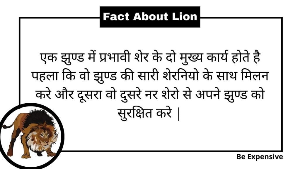 meaning of lion in hindi