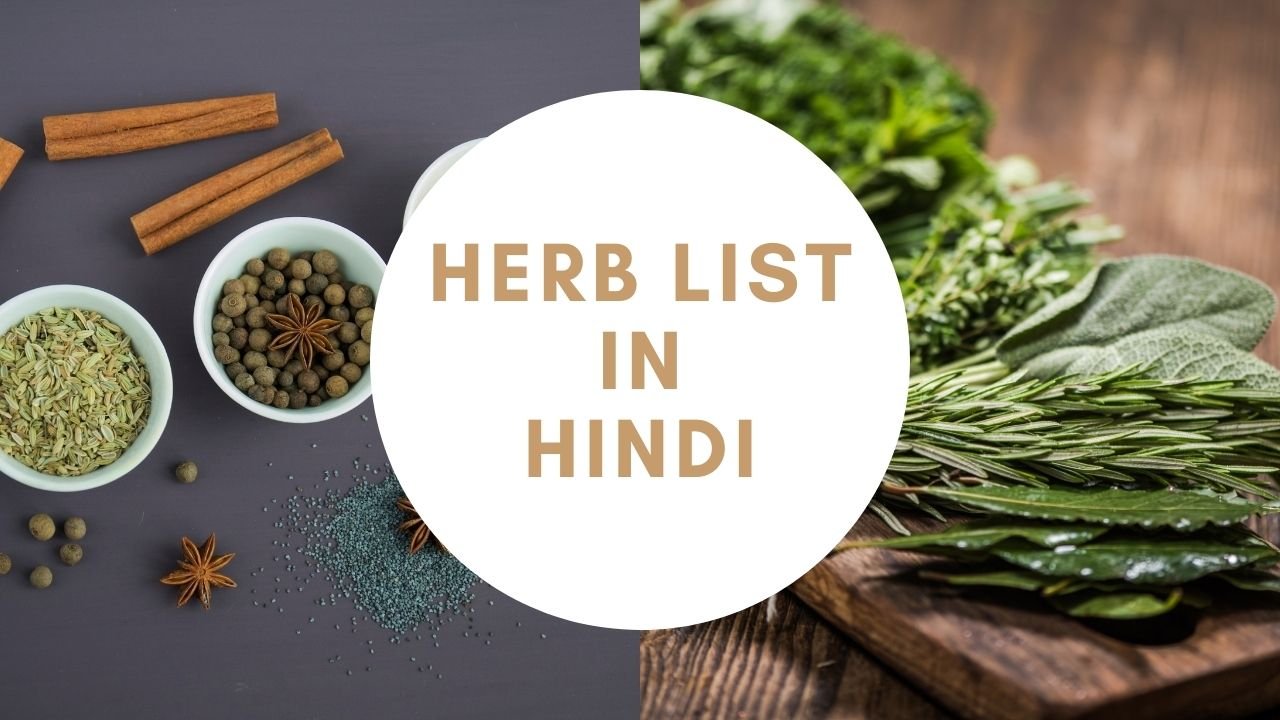 Herb List in Hindi | औषधि की सूचि व् उपयोग