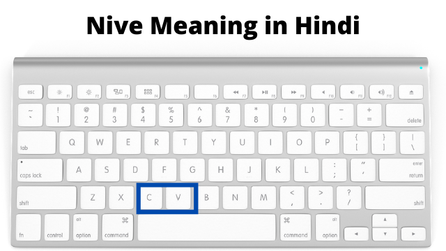 Nive meaning in Hindi